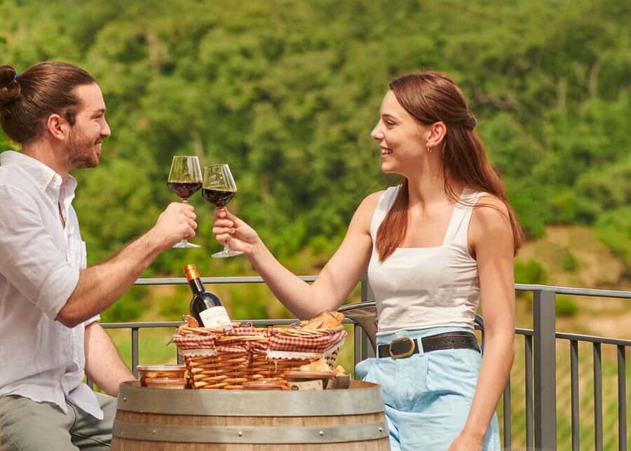 Saint-Emilion: Grand Cru Classé Guided Winery Visit & Picnic - Two Saint-Émilion estates in one compact visit