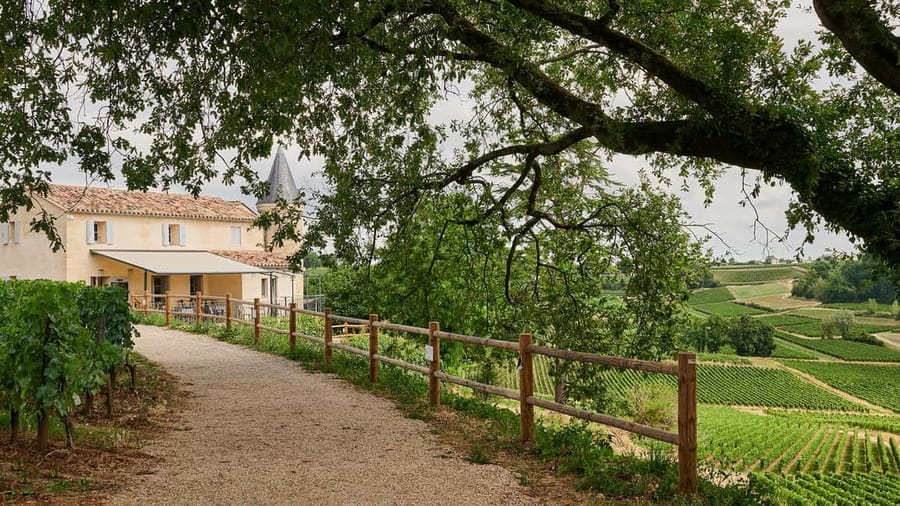 Saint-Emilion: Grand Cru Classé Guided Winery Visit & Picnic - La Croizille brings the modern comparison