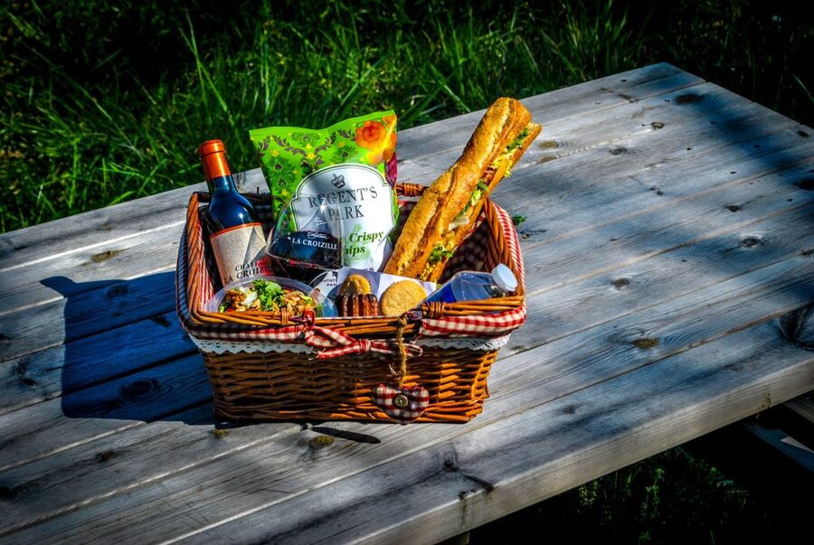 Saint-Emilion: Grand Cru Classé Guided Winery Visit & Picnic - Who will enjoy this Saint-Émilion outing?