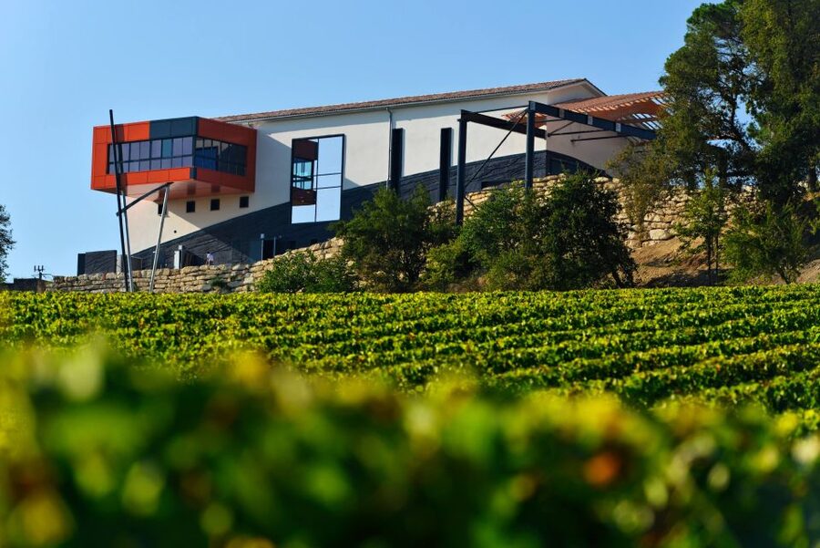 Saint-Émilion: Grand Cru Classé Winery Visit and Tasting - Guides and language support