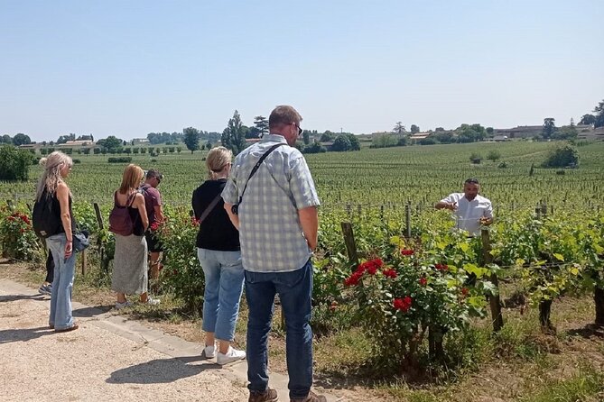 Saint Emilion Morning Wine Tour - Winery & Tastings from Bordeaux - Who should choose this tour?