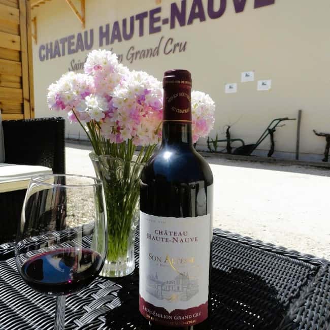 Saint-Emilion : Tasting of 4 wines in a family vineyard - Booking advice and the final call