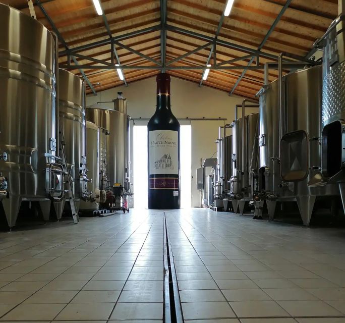 Saint-Émilion: Vineyard Walking Tour and Tasting - Key points to know before you book