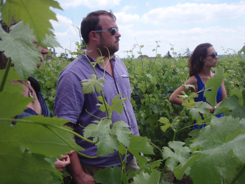 Saint-Émilion: Vineyard Walking Tour and Tasting - A family welcome at Château Haute-Nauve