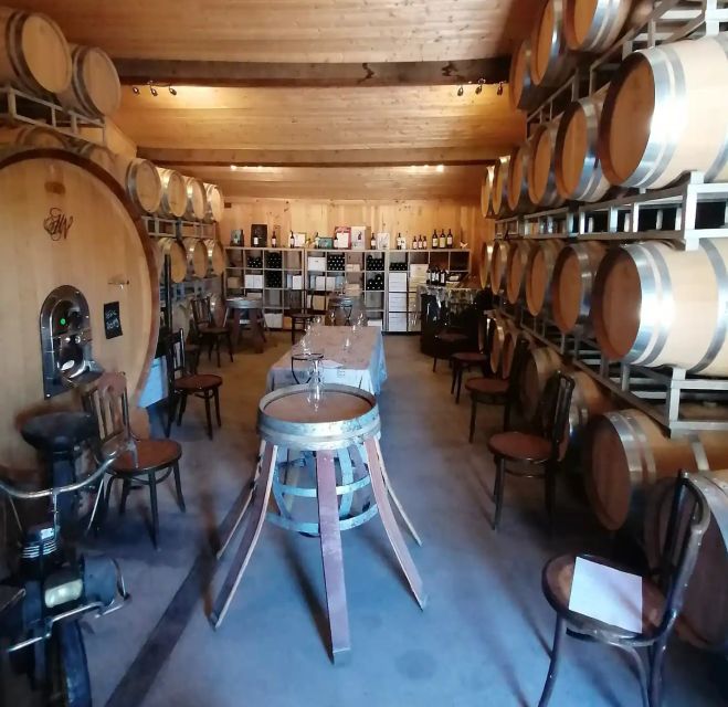 Saint-Émilion: Vineyard Walking Tour and Tasting - From harvest to fermentation cellar