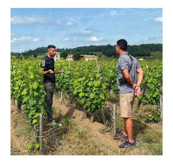 Saint-Émilion: Vineyard Walking Tour and Tasting - Should you book Château Haute-Nauve?