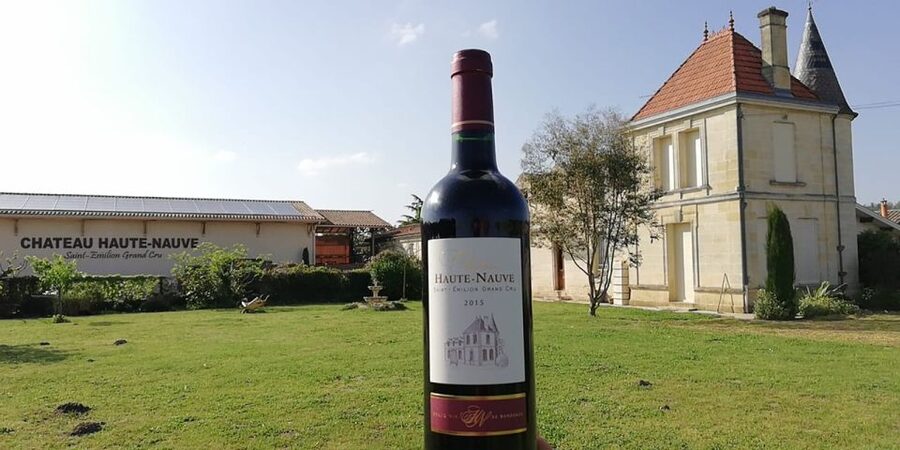 Saint-Émilion: Vineyard Walking Tour and Tasting - Walking the Saint-Émilion vines