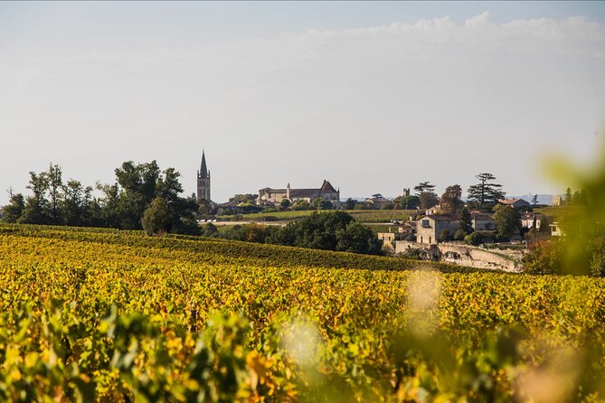 Saint-Émilion Wine Tour: Winery and Village - Saint-Émilion macarons and photo stops