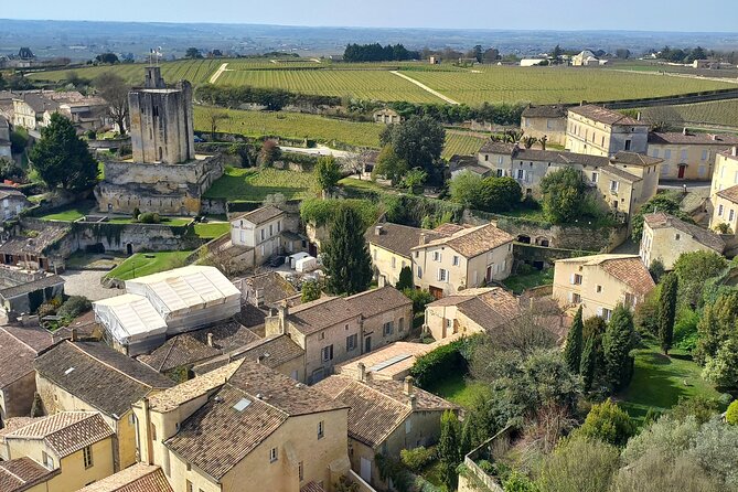 Saint-Émilion Wine Tour: Winery and Village - Is $72.09 a fair price?