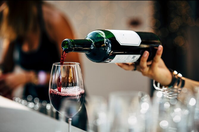 Saint-Émilion Wine Tour: Winery and Village - Who should book this experience?