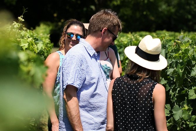 Saint-Emilion Winery Morning Tour with Local Guide - Who should book this tour