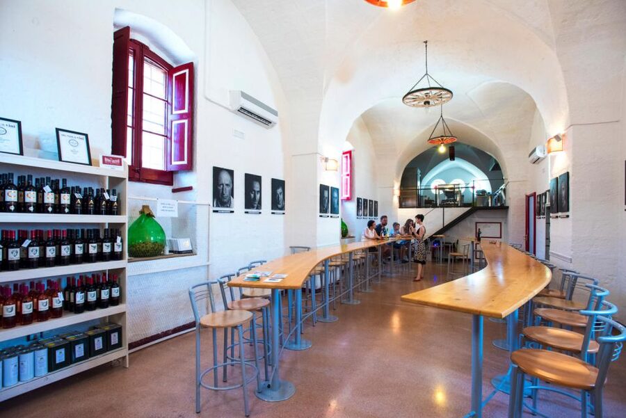 Salento Wine Tradition: Historic Cellar Visit & Tasting - Three wines from Primitivo to rosé