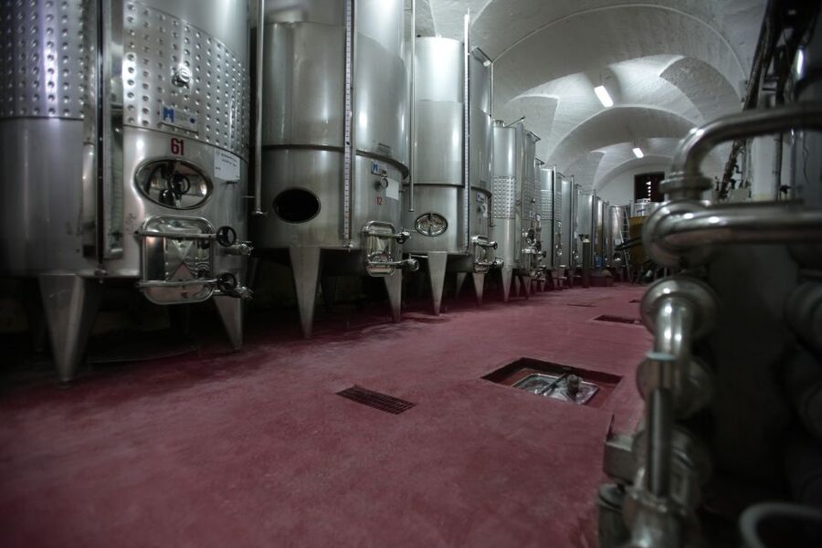 Salento Wine Tradition: Historic Cellar Visit & Tasting - What $37 buys you in 90 minutes