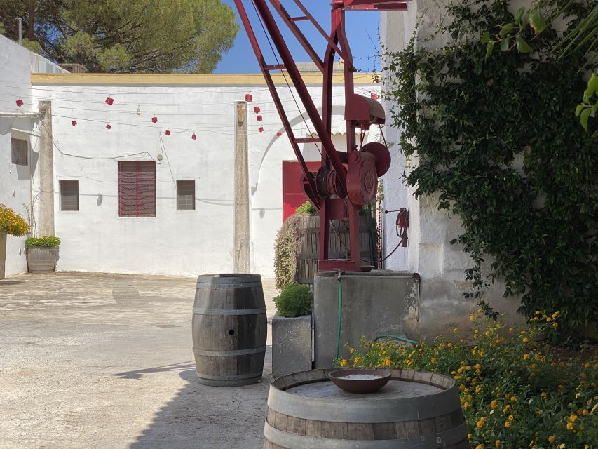 Salento Wine Tradition: Historic Cellar Visit & Tasting - Languages, timing, and access