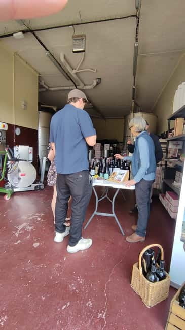 Salou: Priorat tasting Wine-Cellar Tour with hotel pickup - Practical advice before you go