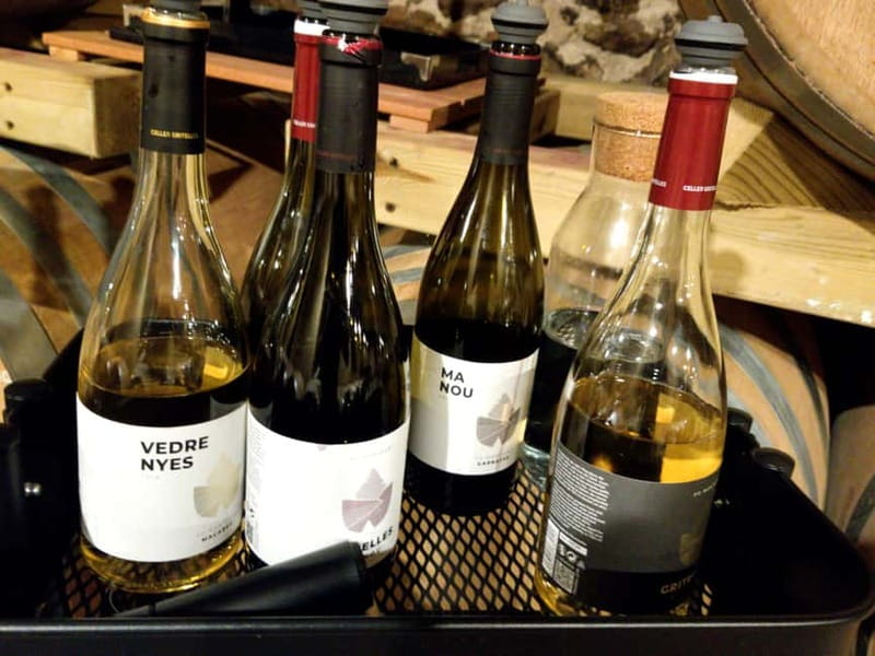 Salou: Priorat tasting Wine-Cellar Tour with hotel pickup - Inside the Cornudella cellar