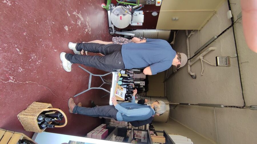 Salou: Priorat tasting Wine-Cellar Tour with hotel pickup - Who should book this experience?