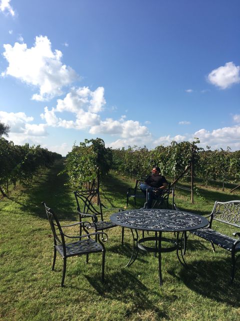 San Antonio: Fredericksburg Wineries Day Trip with Tastings - Why this San Antonio wine trip works
