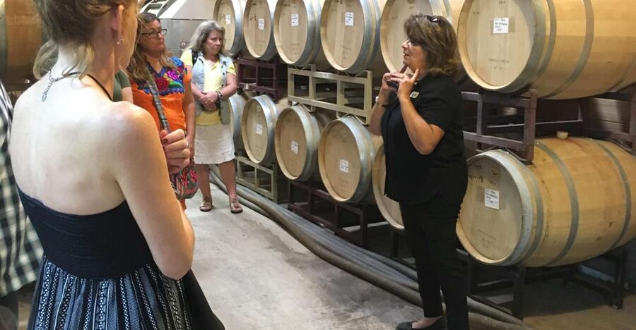 San Antonio: Fredericksburg Wineries Day Trip with Tastings - Texas Wine Collective brings a second point of comparison