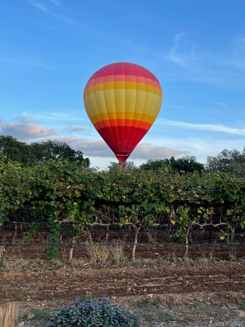 San Antonio: Fredericksburg Wineries Day Trip with Tastings - What the small group changes