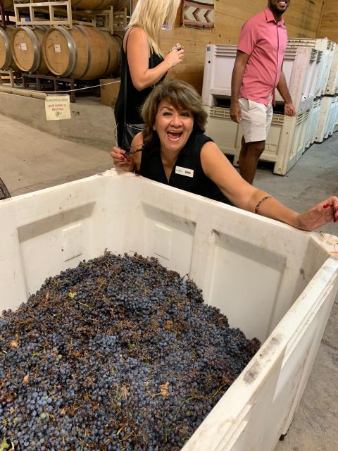 San Antonio: Fredericksburg Wineries Day Trip with Tastings - Who should book this day trip