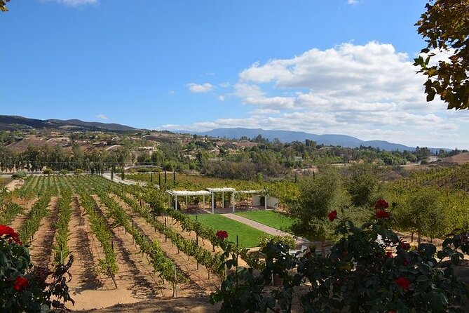 San Diego to Temecula: Wine Country Tour & Historic Old Town - Wilson Creek adds energy and photo time