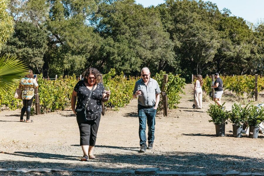 San Francisco: Half-Day Wine Country Excursion with Tastings - Who should book this wine-country outing?