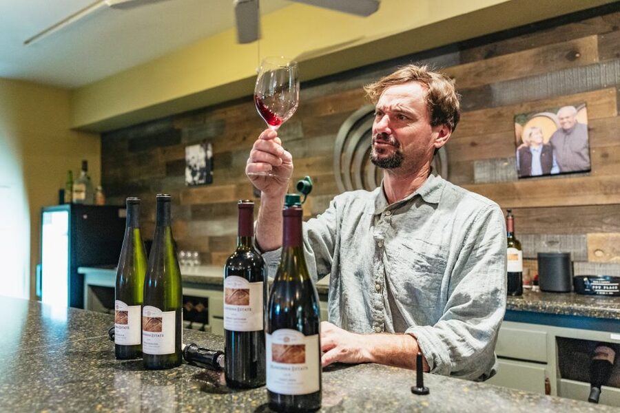San Francisco: Half-Day Wine Country Excursion with Tastings - Two wineries with different personalities