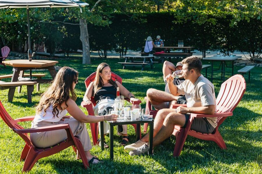 San Francisco: Half-Day Wine Country Excursion with Tastings - Vineyard time, tasting pace, and what you actually get