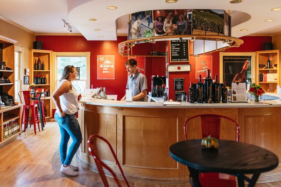 San Francisco: Half-Day Wine Country Excursion with Tastings - Group size, guides, and the overall feel