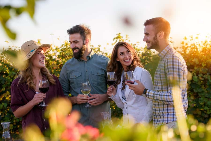 San Francisco: Redwood & Wine Country Tour with Lunch & Wine - Key points to know before booking