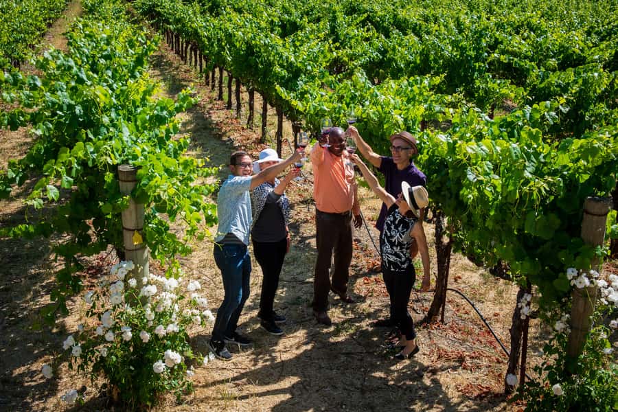 San Francisco: Redwood & Wine Country Tour with Lunch & Wine - Three wineries, three different styles