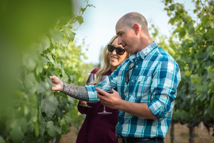 San Francisco: Sonoma Wine Country Tour with Tastings - What the day is really like