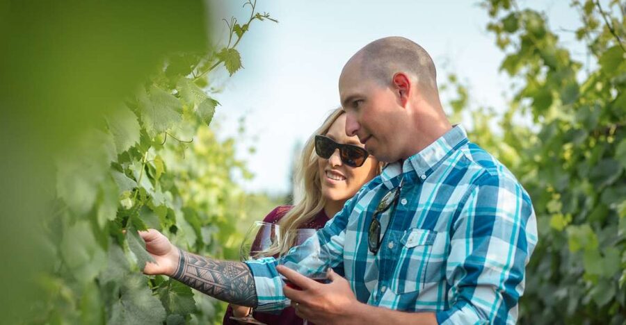 San Francisco: Sonoma Wine Country Tour with Tastings - Golden Gate Bridge photo stop