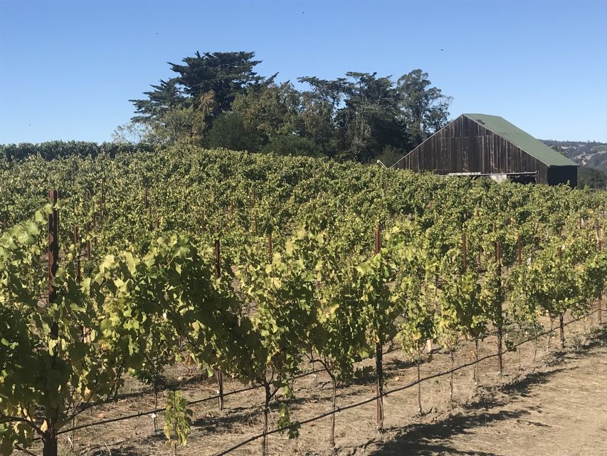 San Francisco: Sonoma Wine Country Tour with Tastings - Three Sonoma wineries, three different moods