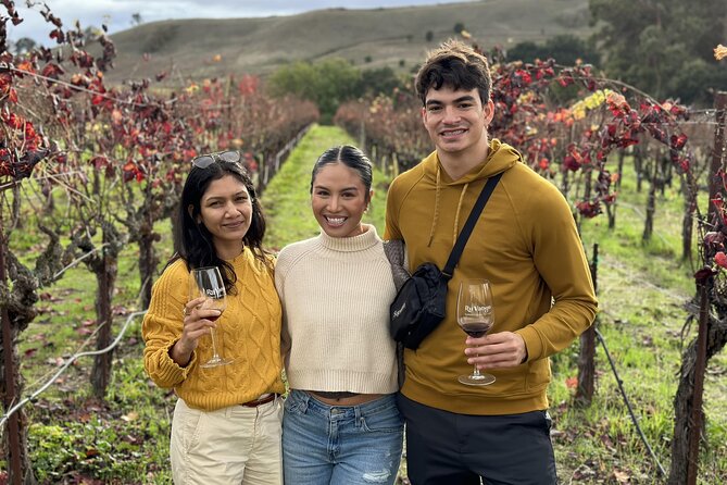 San Francisco Super Saver: Muir Woods & Wine Country w/ optional Gourmet Lunch - Mayo Family Winery and a more personal tasting