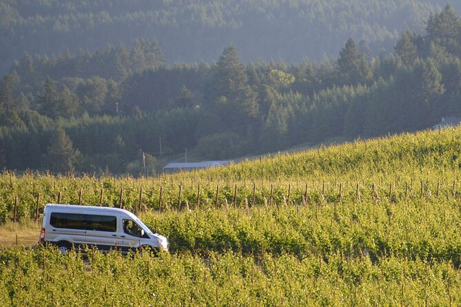 San Gimignano and Winery Experience with Lunch from Livorno - San Gimignano and its medieval towers