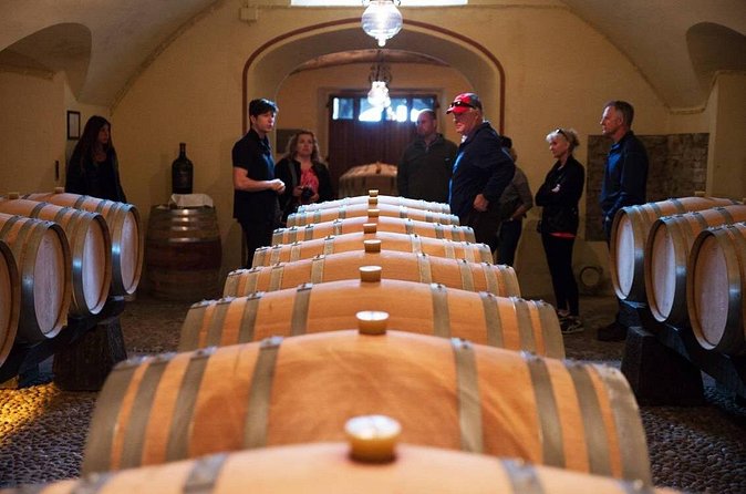 San Gimignano and Winery Experience with Lunch from Livorno - Maximo and the value of a private shore excursion
