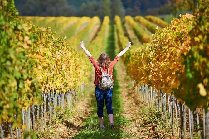 San Gimignano and Winery Experience with Lunch from Livorno - The small details that can make or break the day