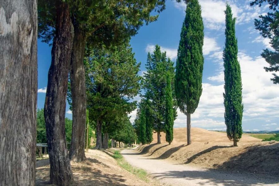 San Gimignano, Chianti with Winery Lunch & Cooking Class - Why this day works for first-time Tuscany visitors