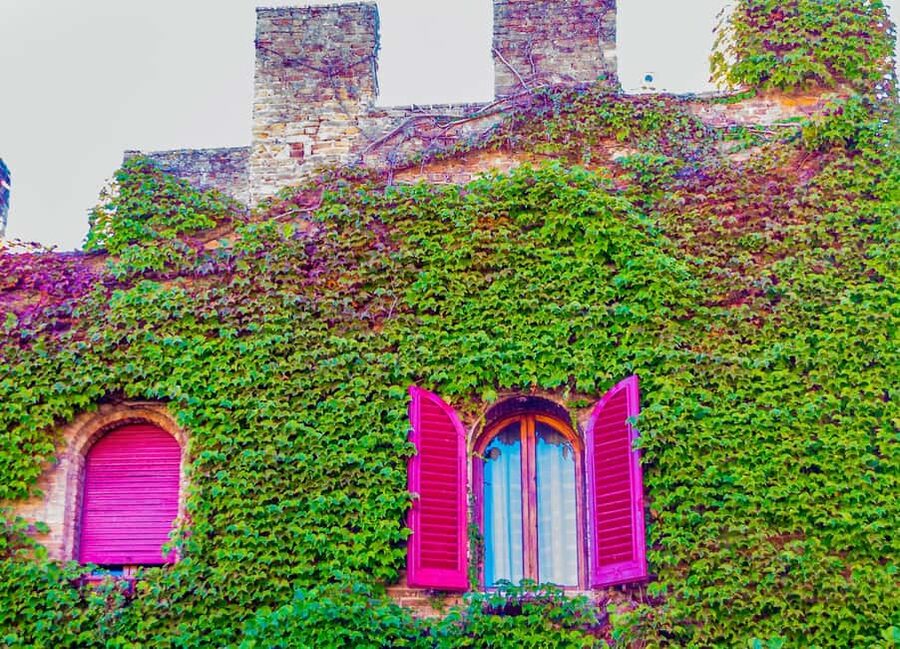 San Gimignano, Chianti with Winery Lunch & Cooking Class - Leaving Florence for Castellina in Chianti