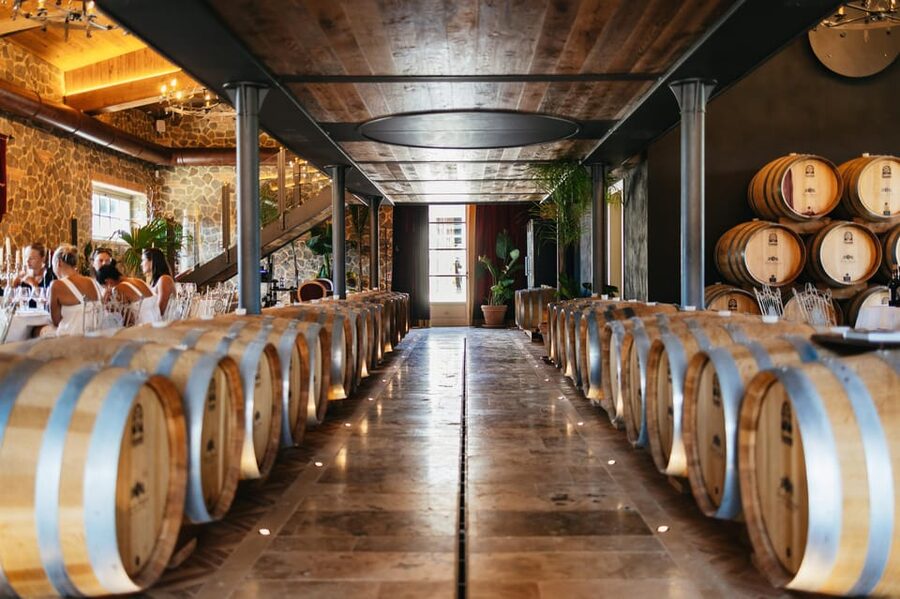 San Gimignano: Tuscan Vineyard Lunch with Wine Tasting - Practical details that affect your visit
