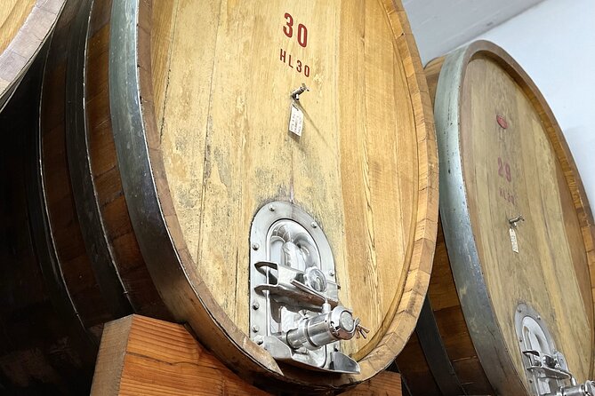 San Gimignano: Vineyard and Cellar Tour with Wine Tasting - A farm-style spread, not just a few crackers