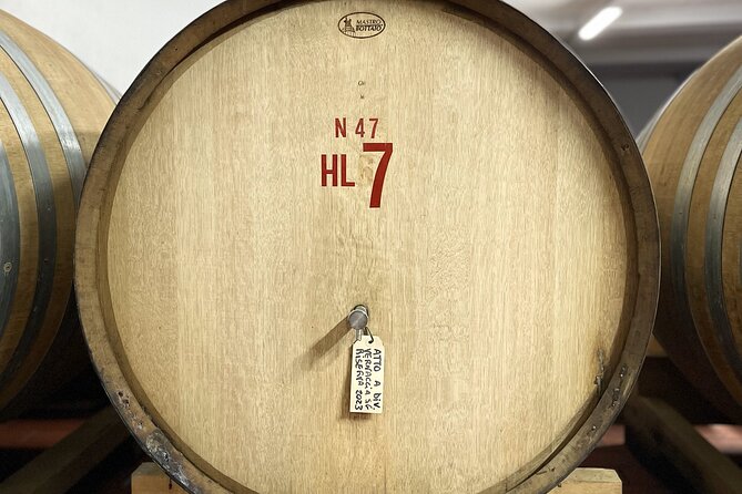 San Gimignano: Vineyard and Cellar Tour with Wine Tasting - How the 90 minutes are likely to feel