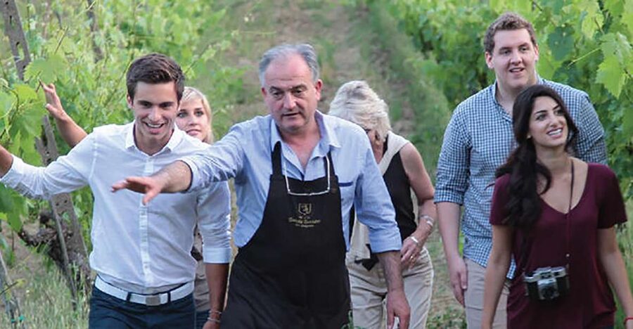 San Gimignano: Vineyard Walk with Wine Tasting in winery - Should you book the Tenuta Torciano visit?
