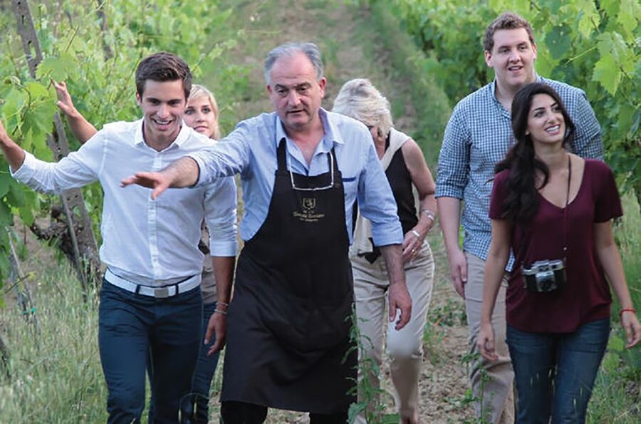 San Gimignano: Vineyard Walk with Wine Tasting in winery - Walking the spiral vineyard near San Gimignano