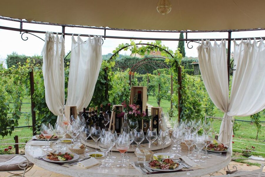 San Gimignano: Vineyard Walk with Wine Tasting in winery - A sensible way to fit it into your San Gimignano day