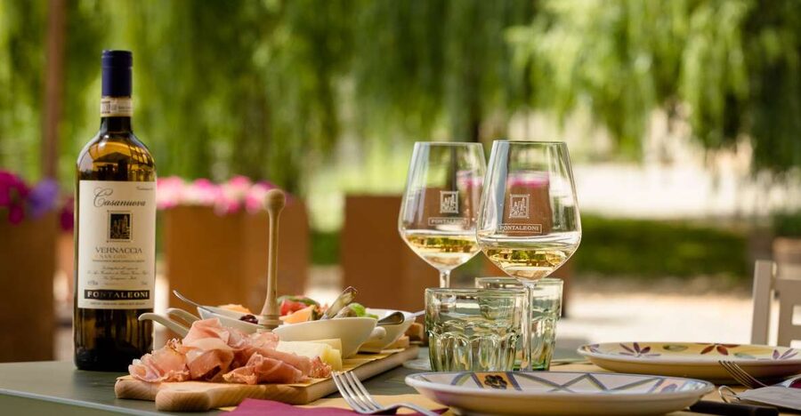 San Gimignano: Winery Tour with Wine Tasting and Lunch - A family winery near San Gimignano