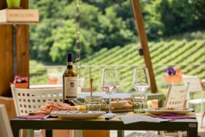 Winery Tour with Wine Tasting and Lunch