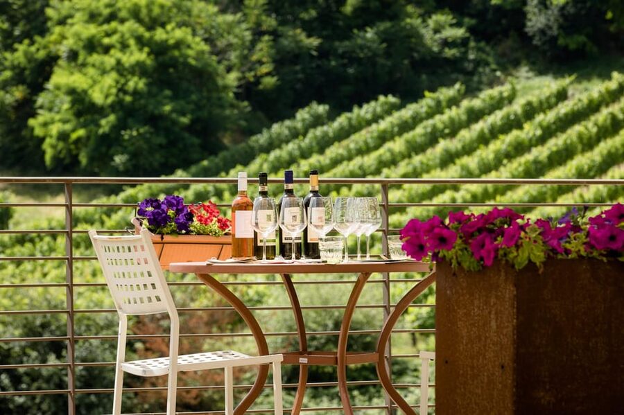 San Gimignano: Winery Visit with Picnic in Olive Grove - The food: tasty, traditional, and not oversized